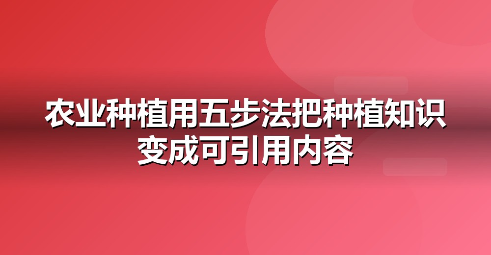 GEO 五步落地法示意