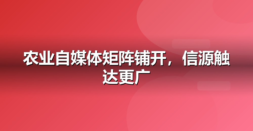 自媒体矩阵分工示意