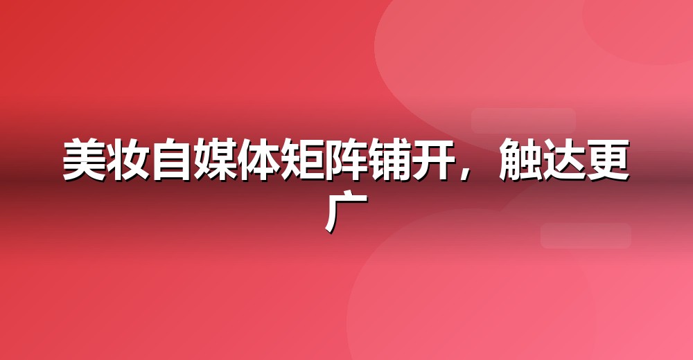 自媒体矩阵分工示意